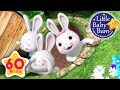 Learn With Little Baby Bum Bunny Hop Hop Nursery Rhymes For Babies Songs For Kids
