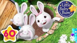 Little Baby Bum | Bunny Hop Hop | Nursery Rhymes for Babies | Songs for Kids