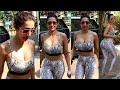 Bombastic Malaika Arora Flaunts Huge Sexy Figure In Snake Print Bra With Tight Pant Snapped AtYoga