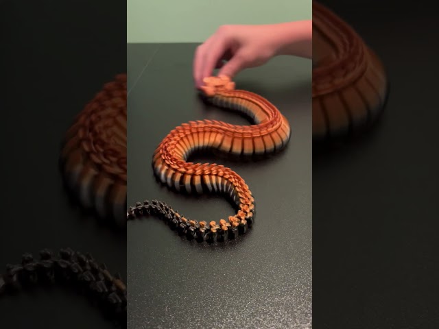 Vídeo relacionado con 2 Piezas 3D Serpientes Flexibles, Juguete de Animales Impresos en 3D, Serpientes Falsas para Descompresión en Oficina, Escuela y Hogar (30 cm)
