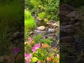 Ye Paudhe Ye Patte ️ ️ ️ 80s Nature Naturelovers