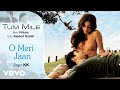 O Meri Jaan Audio Song Tum Mile Emraan Hashmi Soha Ali Khan Pritam KK Sayeed Quadri