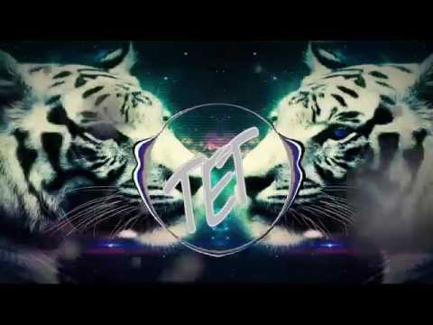 R3hab vs Skytech & Fafaq - Tiger (Original Mix)