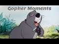 The Many Adventures Of Winnie The Pooh Gopher Moments