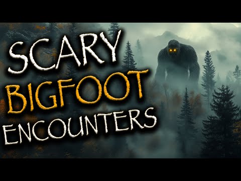 4 True Scary BIGFOOT Encounters That Will Give You Chills | 2025 Sasquatch Encounters, Deep Woods