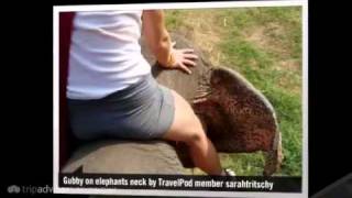 preview picture of video 'Elephant ride Sarahtritschy's photos around Kanchanaburi, Thailand (kanchanaburi elephant ride)'
