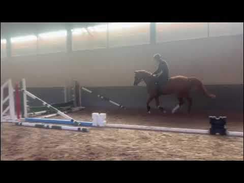 Under the saddle