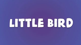 Ed Sheeran - Little Bird (Lyrics)