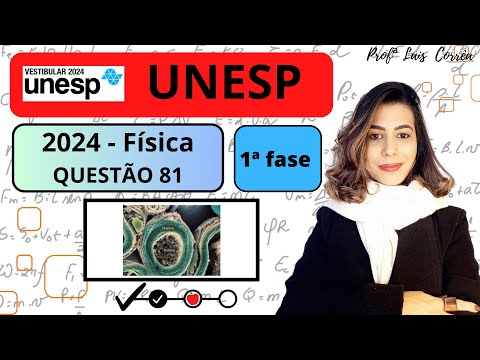 🔵 FÍSICA / UNESP 2024 / QUESTÃO 81 / 1ª  FASE / A imagem, produzida por um microscópio eletrônico...