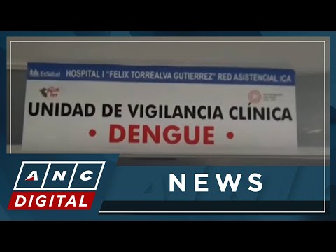 Dengue deaths, cases triple in Peru; gov't declares health emergency ANC