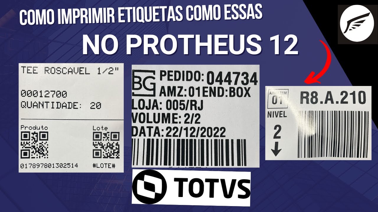 Como imprimir etiquetas personalizadas no Protheus12?