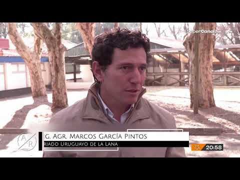 Agroregión - 14/07/2026