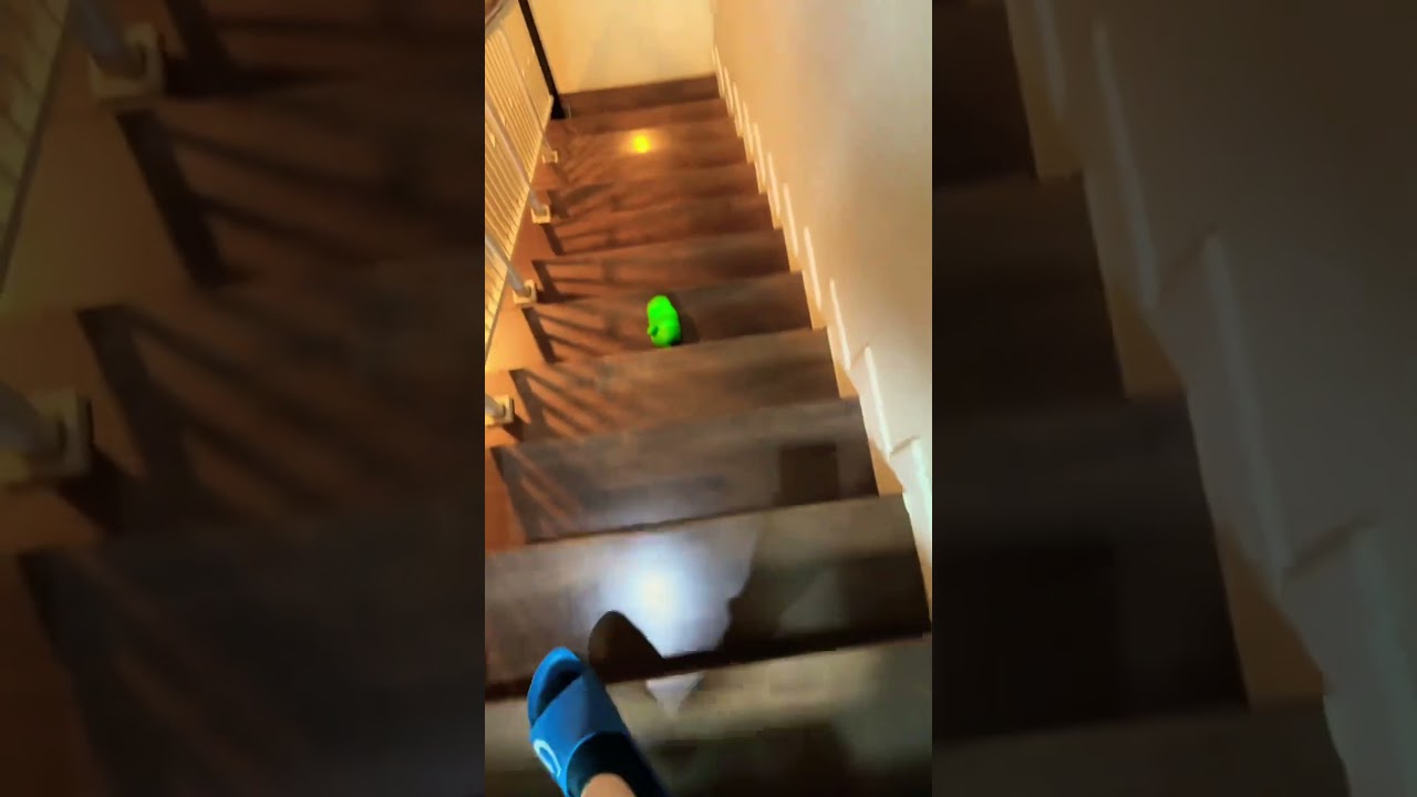 Bread🍞 🍞🍞　#squishy