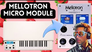 Video thumbnail for $500 Mellotron Micro Module WOW! | THAT SYNTH SHOW by ADVENTURES OF SYNTH SAMURAI
