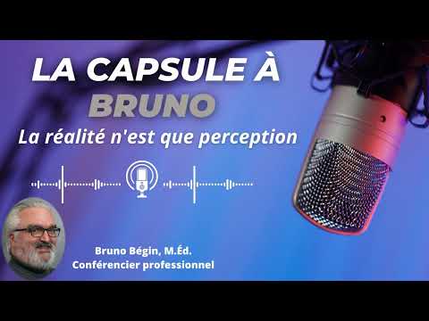 La realite n est que perception
