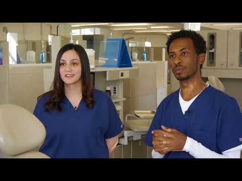 download lagu mp3 mp4 Dental Assistant Program Seattle, download lagu Dental Assistant Program Seattle gratis, unduh video klip Dental Assistant Program Seattle