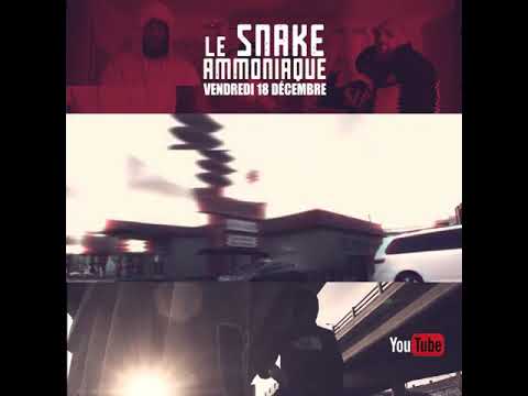 Le Snake Ammoniaque
