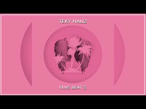 Plus Beat'Z - Teky Hauz (Original Mix)