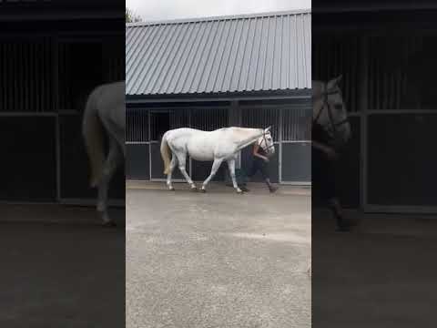 Video 2