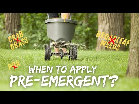 How To Prevent Crabgrass In Charleston, SC | When To Apply Pre-Emergent | Weed Control