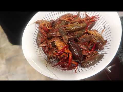 download lagu mp3 mp4 Cleaning Crawfish Before Cooking, download lagu Cleaning Crawfish Before Cooking gratis, unduh video klip Cleaning Crawfish Before Cooking