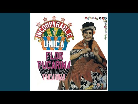 Un Pasajero en el Camino