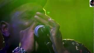 Romek Puchowski Plus - Rainbow