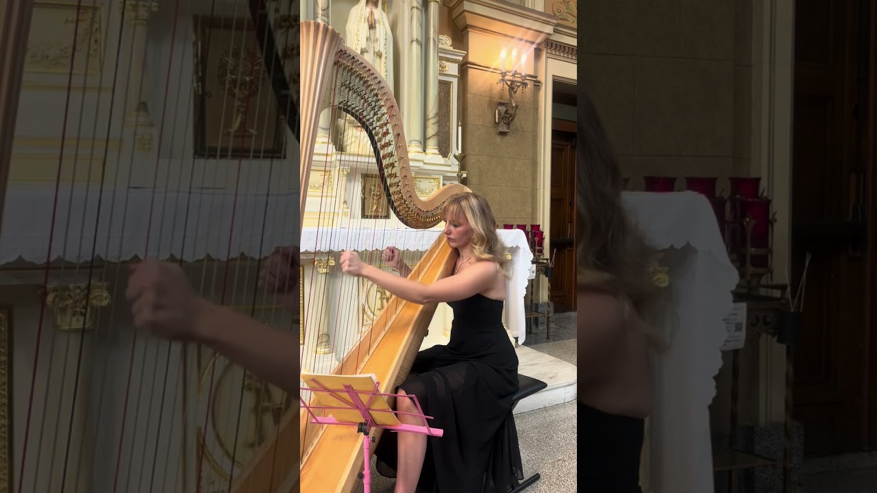 Promotional video thumbnail 4 for Chicago Harpist Anya Pasowicz