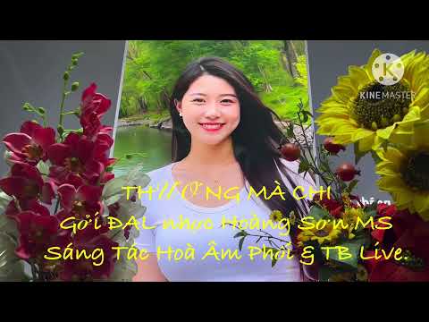 Thương mà chi - Hoàng Sơn