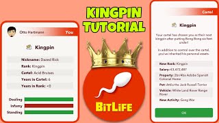 HOW TO BECOME THE KINGPIN AND SUCCESSFULLY RUN A CARTEL | dealer job pack | Bitlife