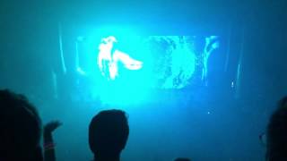 Zedd - Illusion (Live in Detroit, MI)