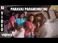Kadhalum Kadanthu Pogum - Paravai Parandhuchu Song