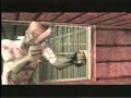 Gameplay video of Shadow Man  XBox