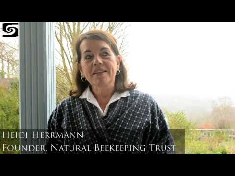 Occult Science by Rudolf Steiner – a reader gives her view