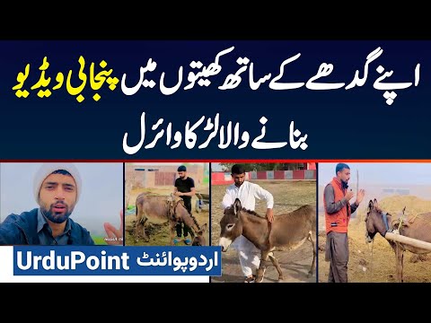 TikToker Faizan Kharal Apne Donkey Ke Sath Kheton Me Videos Bana Ke Viral - Proud villager Pakistani