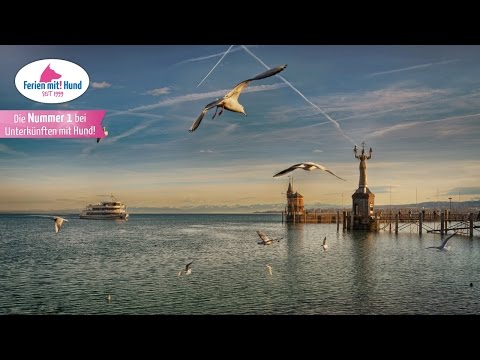 Ferien mit Hund in Baden-Württemberg - hundefreundliche Ferienwohnungen und Ferienhäuser