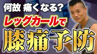 たった10秒！膝の痛みを解剖学的に解消するストレッチ