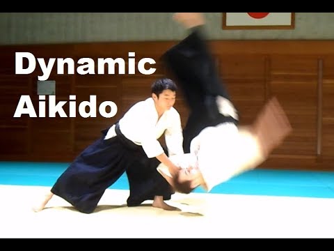 Dynamic and Cool Aikido Part 2 - Katsunori Suzuki