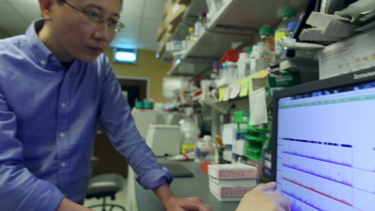 Lihua Zou’s Lab: Linking Functions of Cancer Genomics