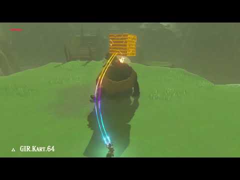 Breath of the Wild - Black Hinox Magnesis Challenge - 048