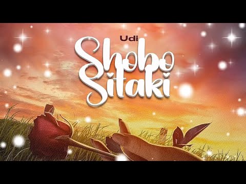 udi - shobo sitaki ( lyric video )