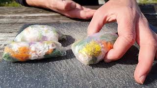 Wie man beginnt, sich gesund zu ernähren (LEBENSVERÄNDERUNG GARANTIERT)