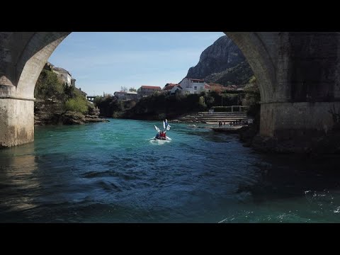 Ljiljani zlatni ljiljani