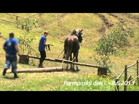 Formanský den I. Bystřec