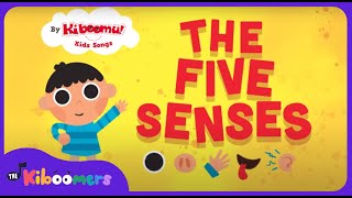 FIVE SENSES - The Kibooomers PRESCHOOL SONGS AND NURSERY RHYMES ABOUT BODY PARTS #shorts #kidssongs