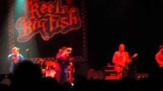 Reel Big Fish - Final Countdown (Intro) and Everyone Else Is An Asshole