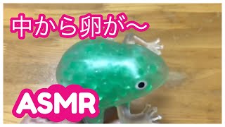 【ASMR】ぐにょぐにょカエルのスクイーズレビュー