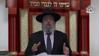דף היומי בחצי שעה - עירובין דף כ'