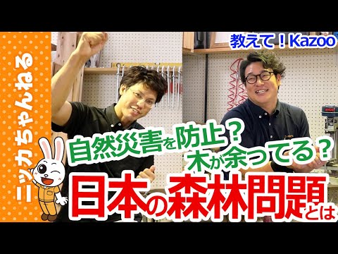 森林保護プロジェクトによるCO2補償は過大評価されている