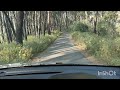 Driving Through Jungle ️ ️ ️ Nature Himachal Travel Jungle Mountains